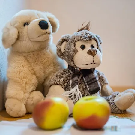 Ferienbauernhof Elmaugut Farma *