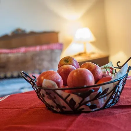 Ferienbauernhof Elmaugut * Muhlbach Am Hochkonig