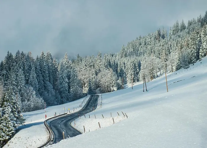 Ferienbauernhof Elmaugut * Muhlbach Am Hochkonig