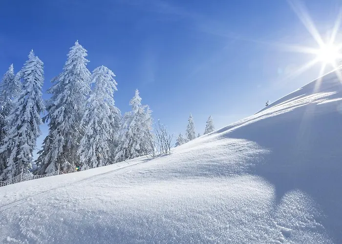 Ferienbauernhof Elmaugut Mühlbach am Hochkönig